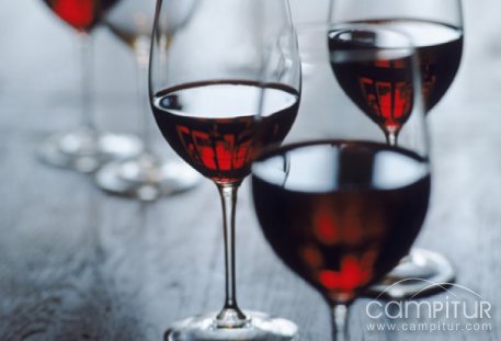 Cursos de Cata de Vinos y de Protocolo en Llerena 